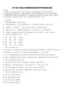 2025屆廣東省汕頭市潮南區陽光實驗校中考沖刺卷語文試題含解析
