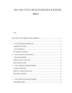 2025-2030中國5G通信技術(shù)市場分析及未來發(fā)展預(yù)測報告