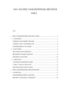 2025-2030鋰離子電池回收網(wǎng)絡(luò)構(gòu)建與梯次利用商業(yè)模式