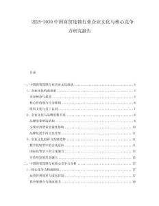 2025-2030中國商貿連鎖行業企業文化與核心競爭力研究報告