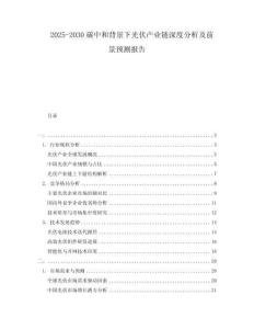 2025-2030碳中和背景下光伏產(chǎn)業(yè)鏈深度分析及前景預(yù)測報告