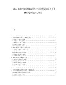 2025-2030中國新能源汽車產(chǎn)業(yè)鏈發(fā)展前景及競爭格局與風(fēng)險評估報告