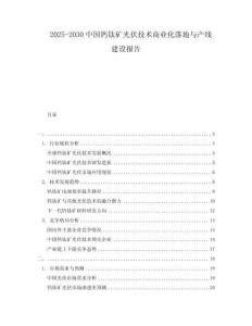 2025-2030中國(guó)鈣鈦礦光伏技術(shù)商業(yè)化落地與產(chǎn)線建設(shè)報(bào)告