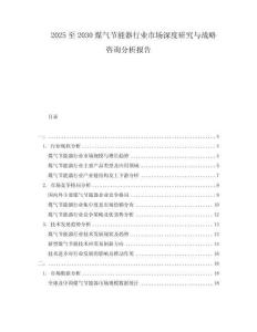 2025至2030煤氣節(jié)能器行業(yè)市場(chǎng)深度研究與戰(zhàn)略咨詢分析報(bào)告