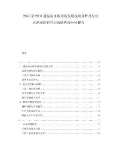 2025至2030透濕防水膜市場發(fā)展現(xiàn)狀分析及行業(yè)市場深度研究與戰(zhàn)略咨詢分析報告