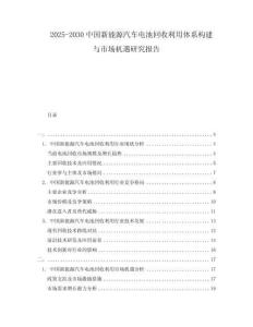 2025-2030中國新能源汽車電池回收利用體系構建與市場機遇研究報告
