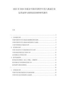 2025至2030全球及中國應(yīng)用程序開發(fā)與集成行業(yè)運(yùn)營態(tài)勢(shì)與投資前景調(diào)查研究報(bào)告