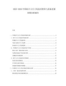 2025-2030中國硅片大尺寸化技術壁壘與設備更新周期分析報告