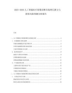 2025-2030人工智能醫(yī)療影像診斷市場增長潛力與投資風險預測分析報告