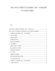 2025-2030中國數字信號處理器（DSP）行業技術壁壘與突破方向報告