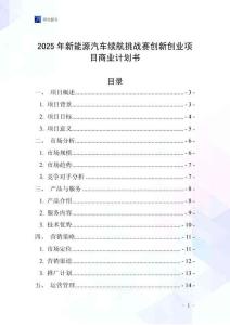 2025年新能源汽車?yán)m(xù)航挑戰(zhàn)賽創(chuàng)新創(chuàng)業(yè)項(xiàng)目商業(yè)計(jì)劃書