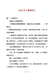 2025年小黃菊作文