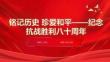 銘記歷史+珍愛和平+課件+-2025-2026學(xué)年高中上學(xué)期紀(jì)念抗戰(zhàn)勝利八十周年主題班會