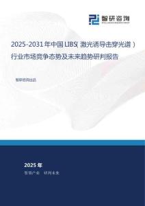 2025-2031年中國LIBS（激光誘導(dǎo)擊穿光譜）行業(yè)市場競爭態(tài)勢及未來趨勢研判報告