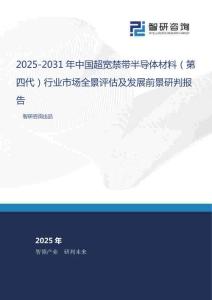 2025-2031年中國(guó)超寬禁帶半導(dǎo)體材料（第四代）行業(yè)市場(chǎng)全景評(píng)估及發(fā)展前景研判報(bào)告