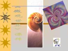 【人教版】小學(xué)美術(shù)五年級(jí)下冊(cè)《微觀世界》課件02