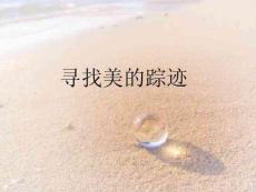 【人教版】小學美術六年級下冊《尋找美的蹤跡》課件