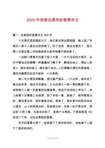 2025年我愛這漂亮的雪景作文