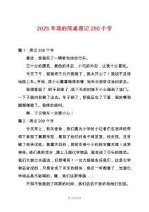 2025年我的同桌周記250個字