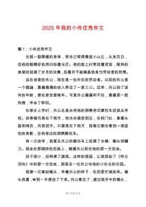 2025年我的小傳優(yōu)秀作文