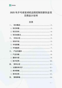 2025年乒乓球發(fā)球機(jī)遠(yuǎn)程控制創(chuàng)新創(chuàng)業(yè)項(xiàng)目商業(yè)計(jì)劃書