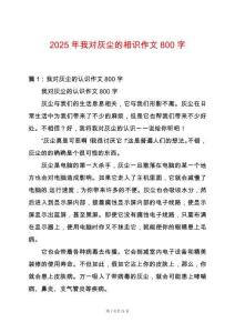 2025年我對灰塵的相識作文800字