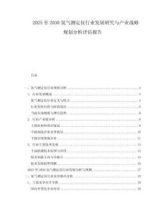 2025至2030氫氣測(cè)定儀行業(yè)發(fā)展研究與產(chǎn)業(yè)戰(zhàn)略規(guī)劃分析評(píng)估報(bào)告