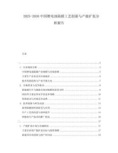 2025-2030中國鋰電池隔膜工藝創新與產能擴張分析報告