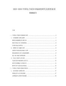 2025-2030中國電子商務市場深度研究及投資前景預測報告