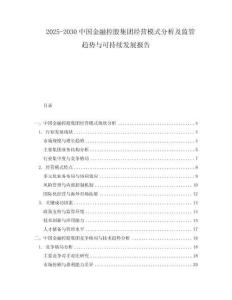 2025-2030中國金融控股集團經營模式分析及監管趨勢與可持續發展報告