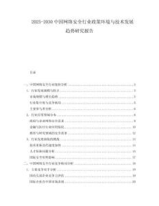 2025-2030中國網(wǎng)絡(luò)安全行業(yè)政策環(huán)境與技術(shù)發(fā)展趨勢研究報告