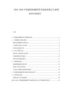 2025-2030中國(guó)建筑機(jī)械租賃市場(chǎng)商業(yè)模式與盈利前景分析報(bào)告
