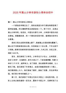 2025年嵩山少林寺游玩心得體會初中