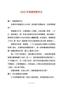 2025年我愛鴨梨作文