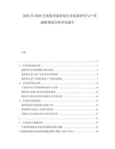 2025至2030巴基斯坦旋轉泵行業發展研究與產業戰略規劃分析評估報告