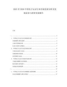 2025至2030中國電子認證行業市場發展分析及發展前景與投資發展報告