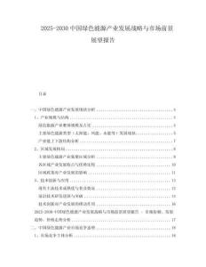 2025-2030中國綠色能源產業發展戰略與市場前景展望報告