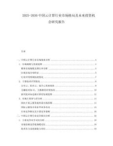 2025-2030中國云計算行業市場格局及未來投資機會研究報告