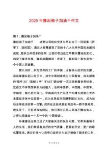 2025年擼起袖子加油干作文