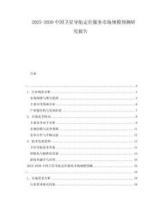 2025-2030中國衛星導航定位服務市場規模預測研究報告