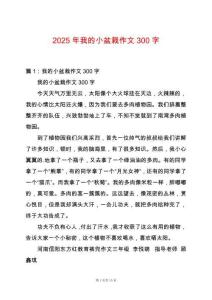 2025年我的小盆栽作文300字