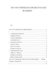 2025-2030中國跨境電商行業(yè)增長潛力評估與商業(yè)模式創(chuàng)新報告