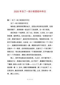 2025年當(dāng)了一回小彩民初中作文