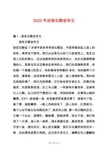 2025年巡游石鵝巖作文