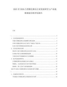 2025至2030凸型潛孔錘頭行業發展研究與產業戰略規劃分析評估報告