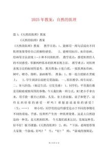 2025年教案：自然的肌理