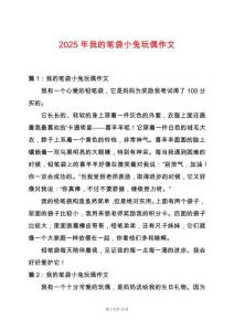 2025年我的筆袋小兔玩偶作文