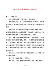 2025年小雛菊的作文500字