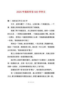 2025年我的珍寶500字作文