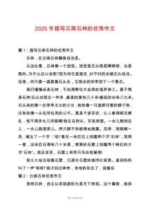 2025年描寫云南石林的優(yōu)秀作文